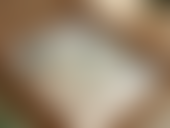 Your Guide to Shipping Information