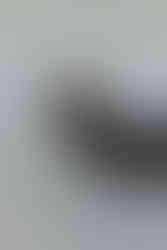 DC Brand Photographer for Hair Stylists