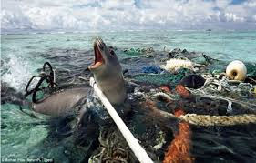 contaminacion oceanica.jpg 2.jpg