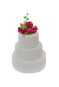 cake2_icarus