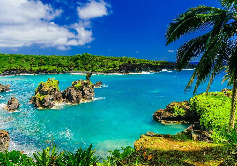 primo-vip-hana-tours-waianapanapa-landscape-050a76c0ce66f4a94d58fc881536e4d2-5u2l1ret8qbn.