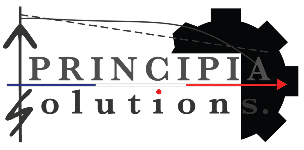 Logo gris.png