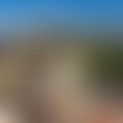 ville de salon de provence