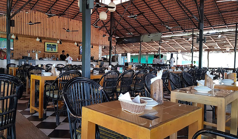 Fat Fish in goa.
