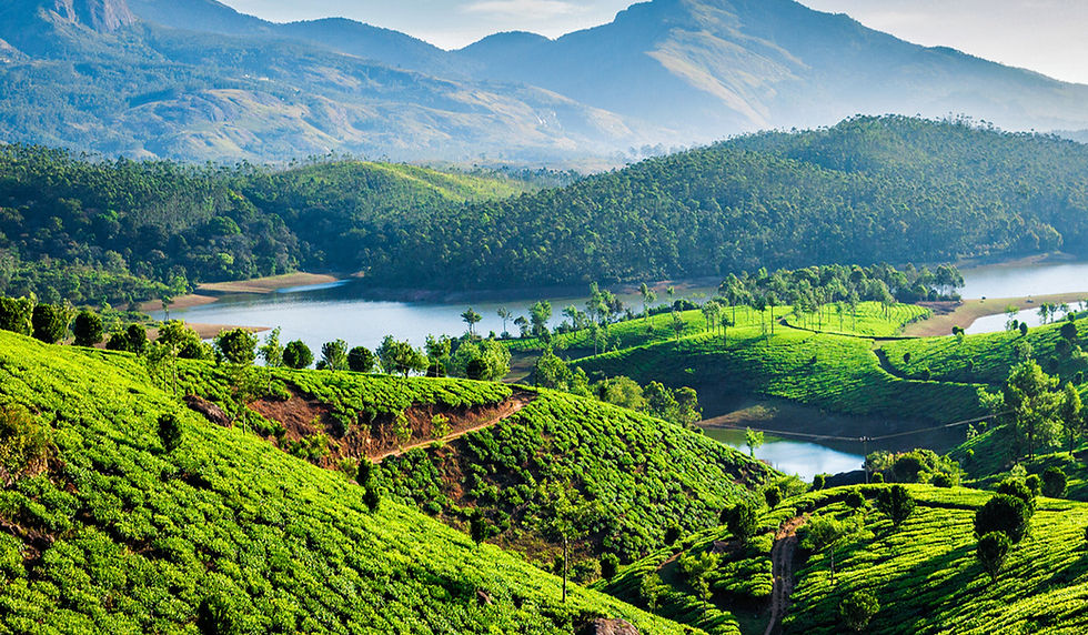 best hotels in Munnar