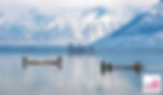Best places to visit in Kashmir for honeymoon.