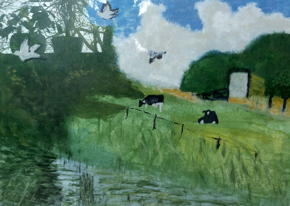 Koeien in landschap