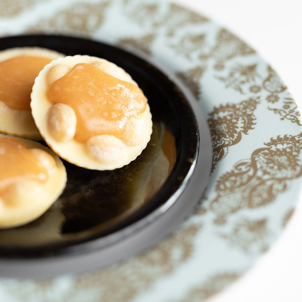 Albino Turtles. Always a hit!