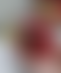 Gift Ideas for the Author in Your Life