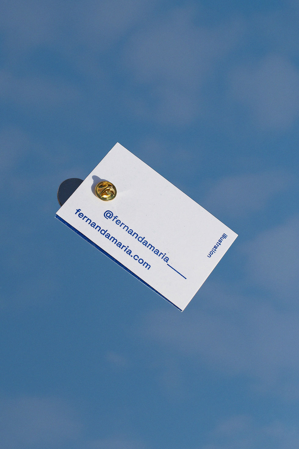 Thumbnail: Mediterranean Bird Pin