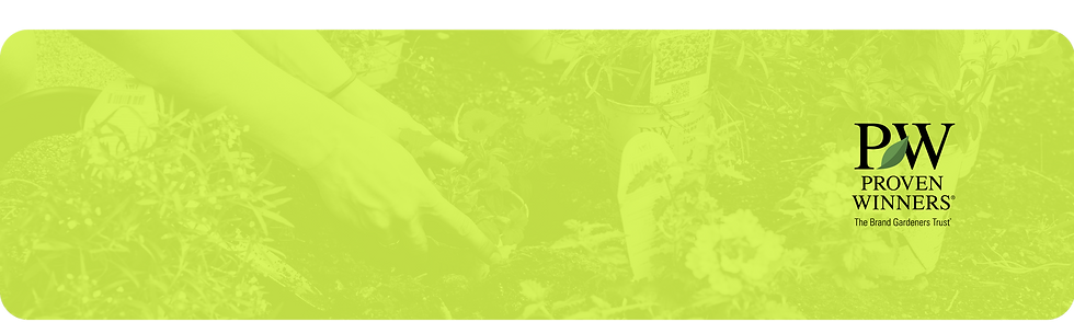 Gather Media - Banners Web + Icons.png