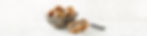 GF-Precinct-SeededDinnerRolls_edited_v1.jpg