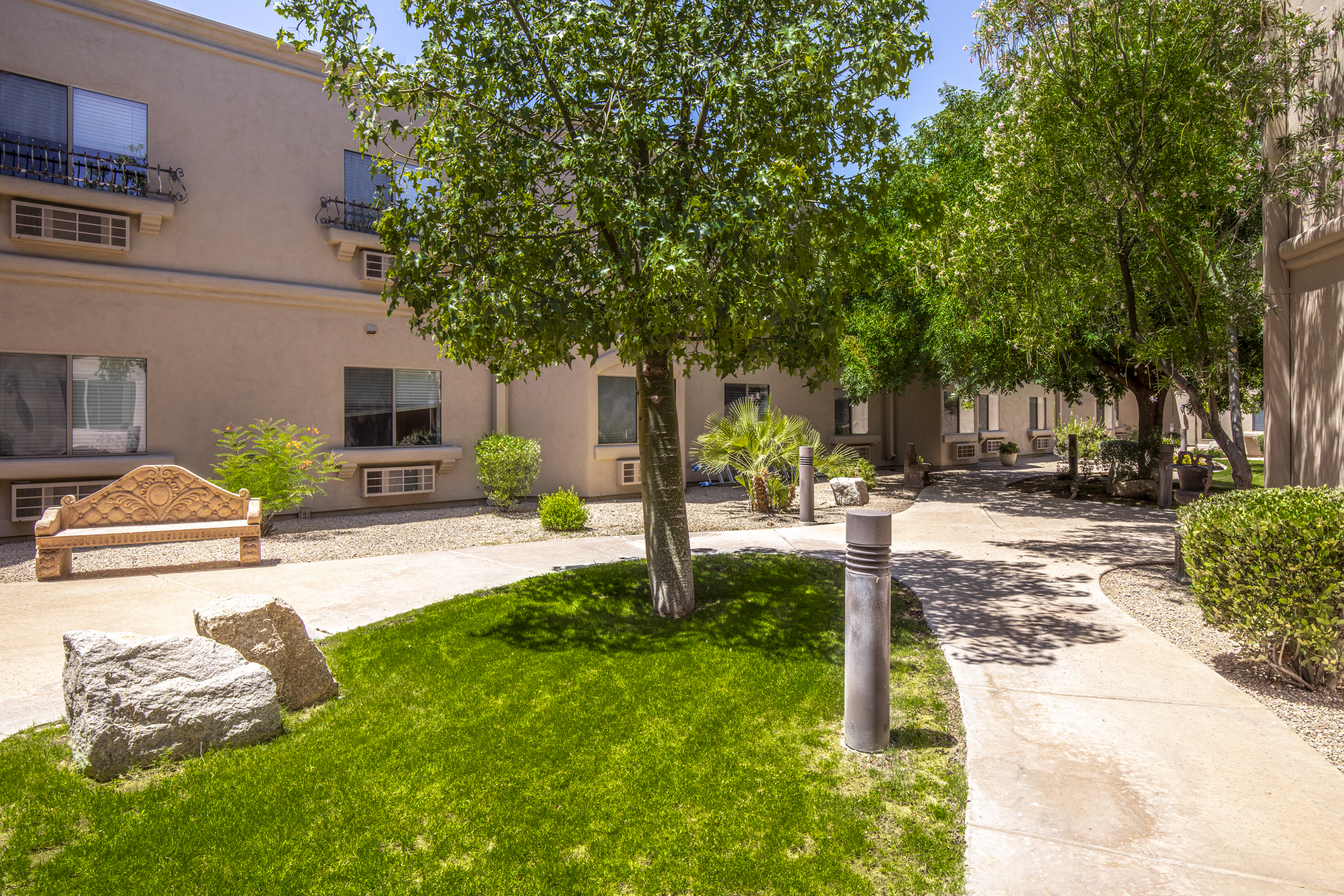 Garden courtyard with trees, lawn, a bench and paved paths.