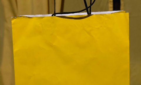 forever 21 bag.png