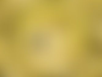 Dogecoin: The Multi-Billion Dollar Joke