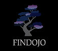 FinDojoLogo.jpeg