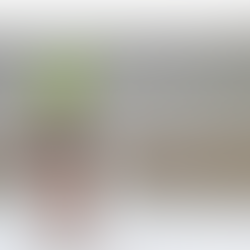 Interest Rates and Markets