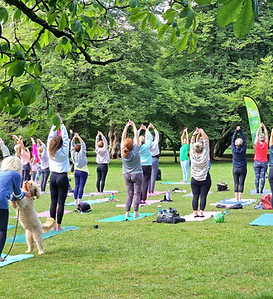 park-yoga-havant-staunton