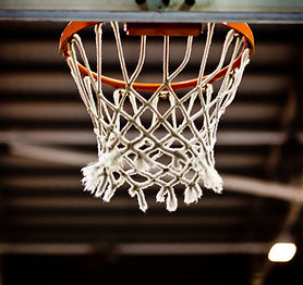 Basketball Net