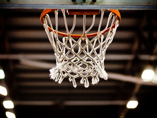 Diana M. Bauer Memorial Scholarship Application Now Open