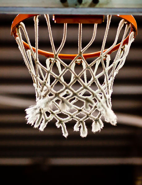 Basketball Net