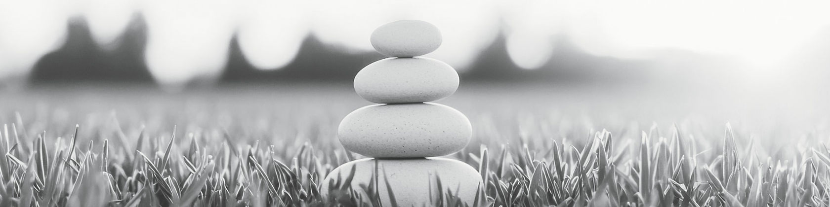 Ein schwarz-weißes Bild von Gras und einem Steinhaufen mit dem Text über die Schaffung von Harmonie zwischen Karriere und Leben, sodass die Arbeit Leidenschaft nährt, anstatt sie zu erschöpfen.