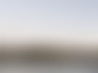 Pink Flamingos? Discover the Exotic France - La Camargue. 