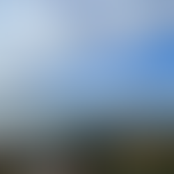 Admirez cette vue au Malabar Headland