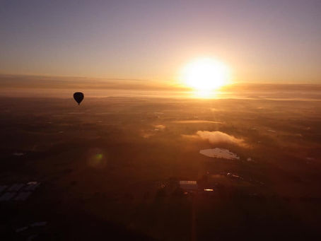 Sunrise Hot Air Balloon over the vineyards
