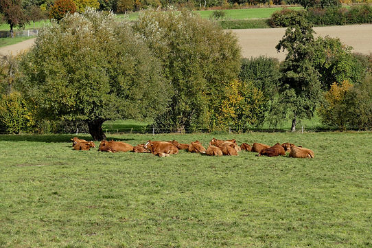 Landappbw_524422_1817_sie_genießen_den_(letzten_)_warmen_Tag_(20.10.)_in_diesem_Jahr!_Orts