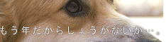 20130329134629file1.gif