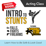 Intro to Stunts