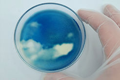 20250209_183919 (1).jpg