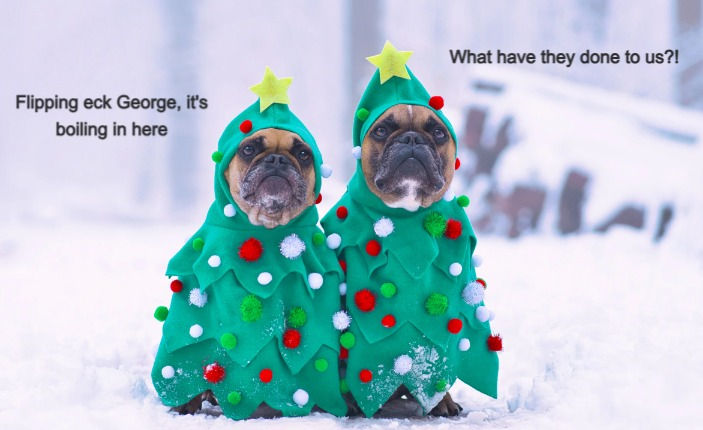 two dogs dressed up as Christmas trees