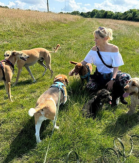 dog walk 2.jpg