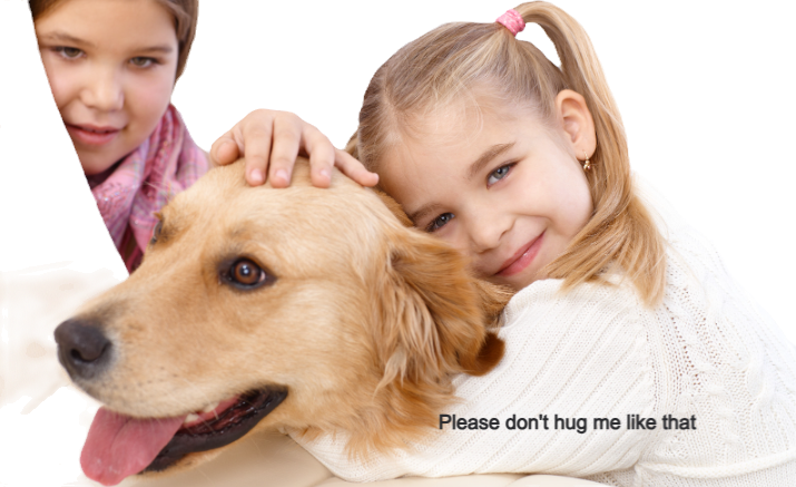 A child hugging a dog