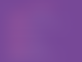 Conseil d'administration 2024-2025