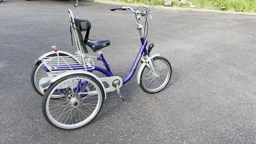 Van Raam Mini/Midi /Maxi Trike