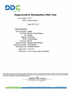 Hershey DM DNA Test_edited