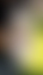 Puppies turn 7 weeks old