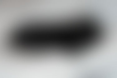 Newfoundland Puppies are born!!