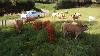 17 0620-10.jpg