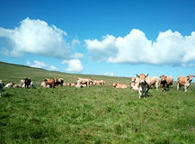 20%200625-06_edited.jpg