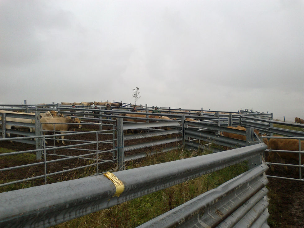 12 1011-3.jpg