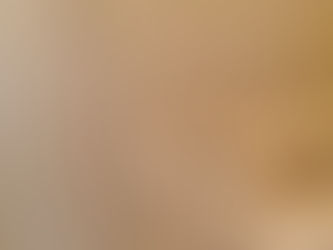 さいたま市南区文蔵空室クリーニング