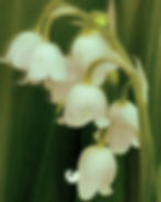 Mothersday 09.31.44.jpg