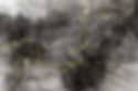 6464954.jpg