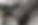 6464954.jpg