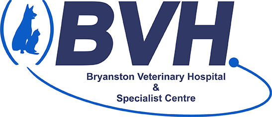 Bryanston Veterinary Clinic