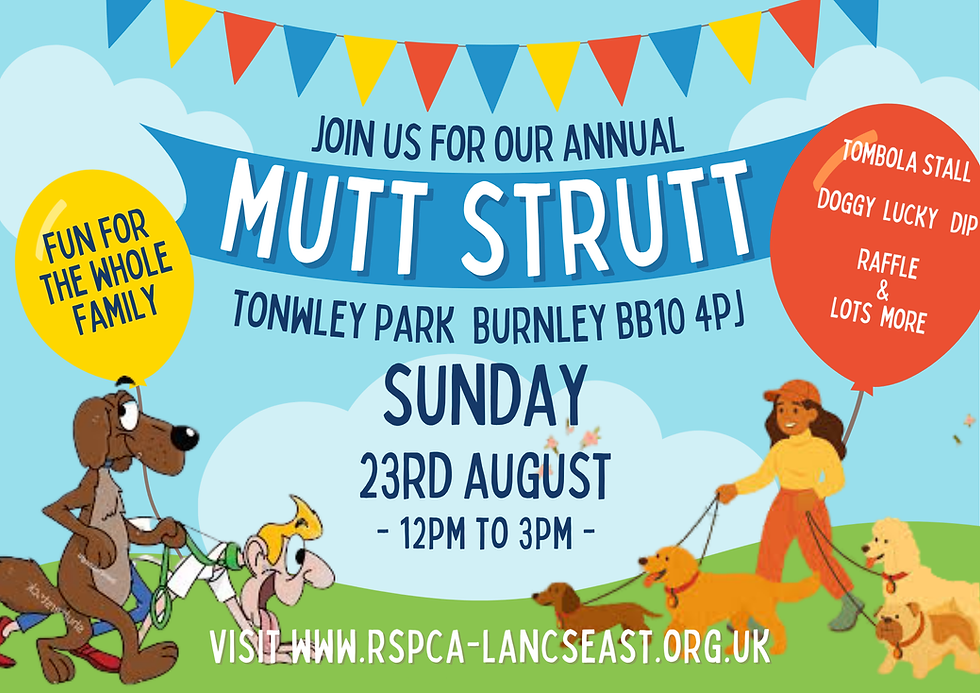 Mutt Strutt 2026
